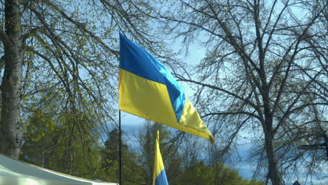 flag of ukraine waves in slow motion in front of forest park trees