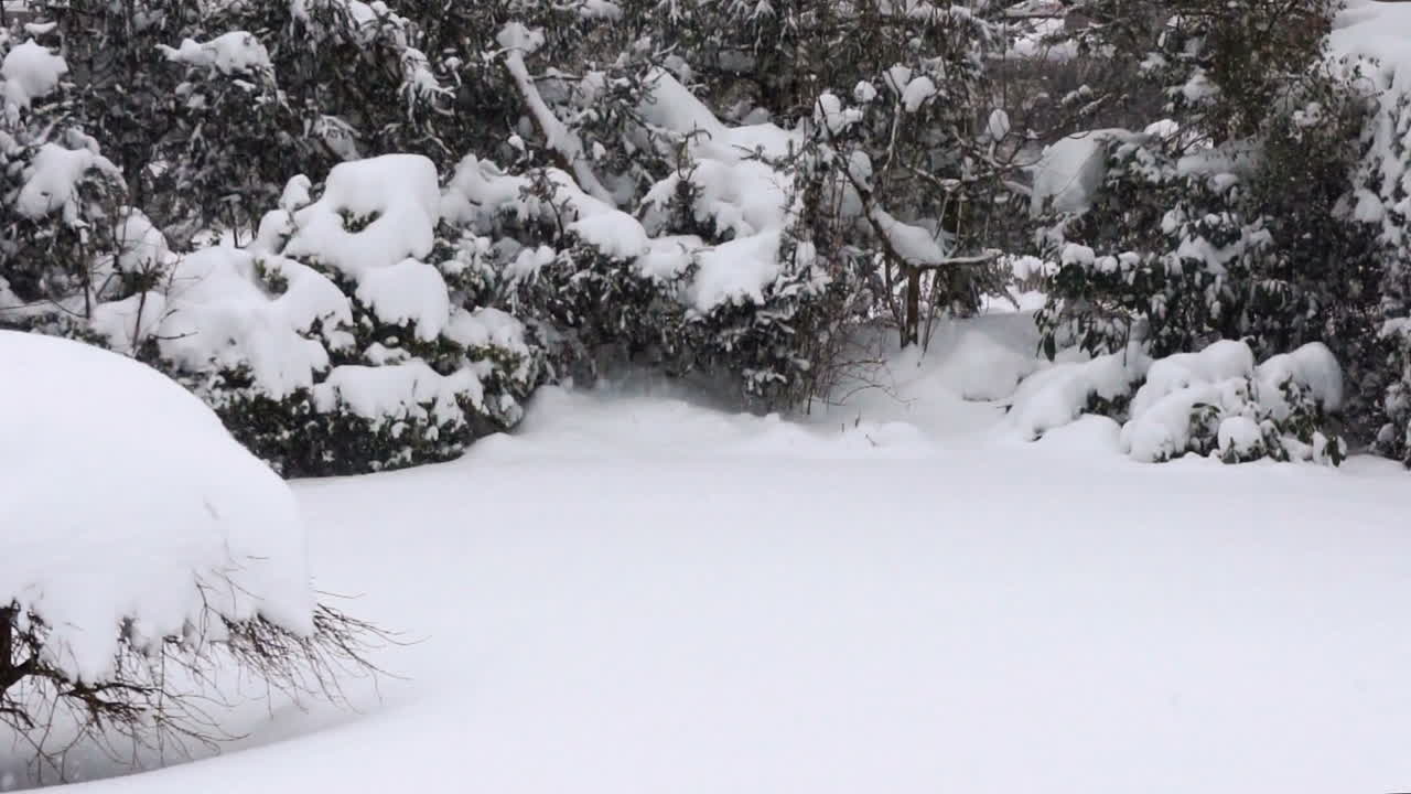 fuertes nevadas con efecto lago en un jardín en hamburgo