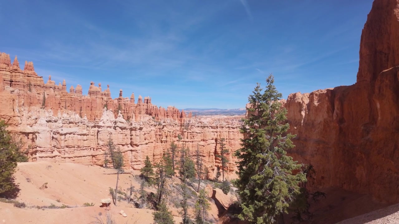 Una vista degli alberi imponenti tra le rocce rosse del Bryce Canyon.