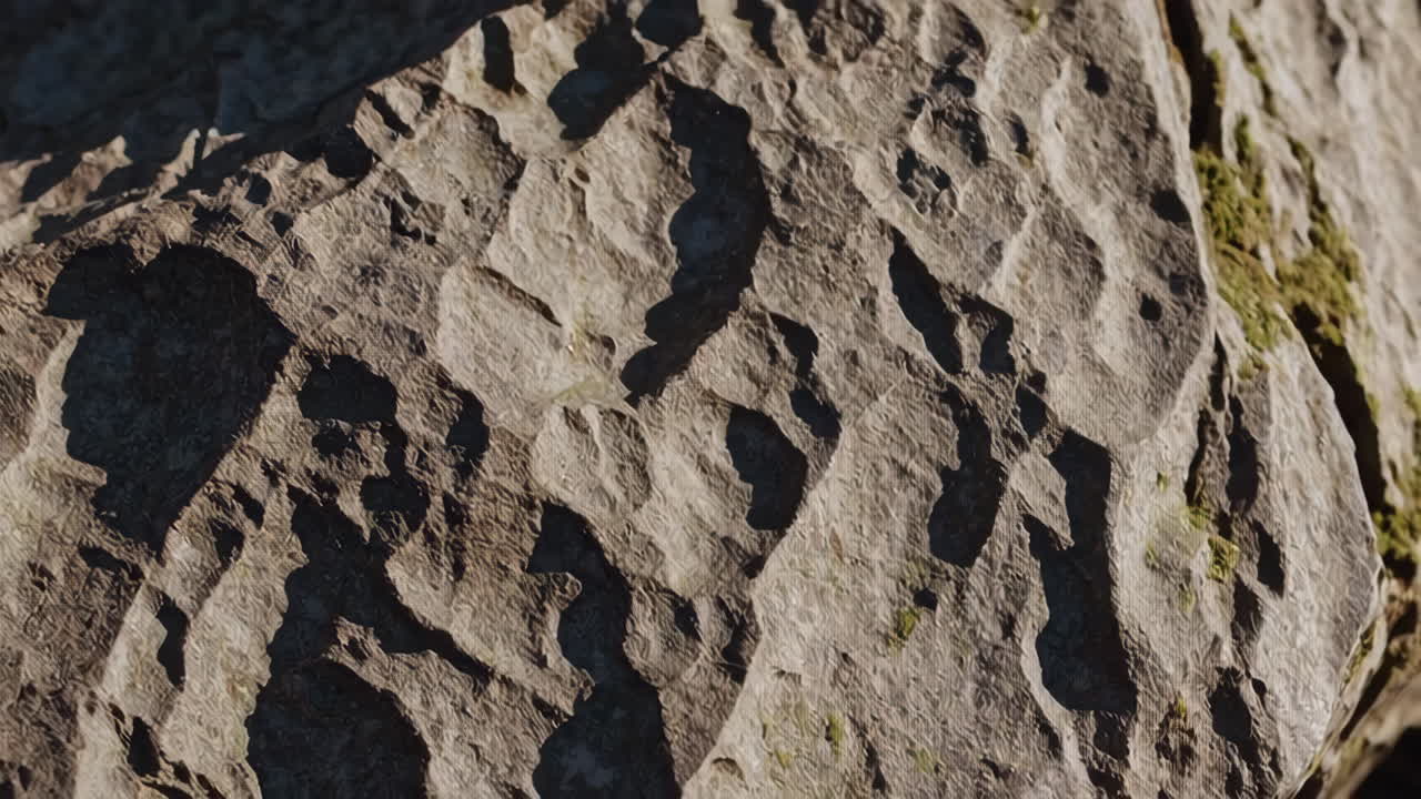 Closeup of textured rock surface