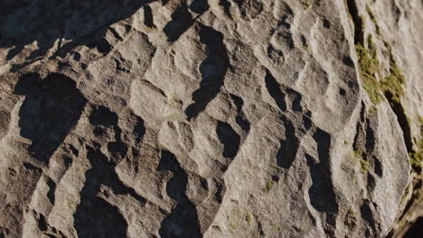 closeup of textured rock surface