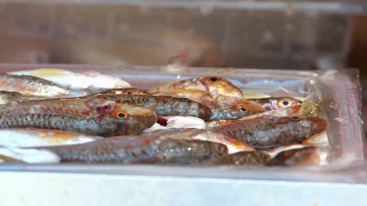 시장 에서 신선 한 물고기 를 전시 하는 것