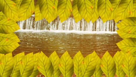 animation of frame of autumn leaves over waterfall background