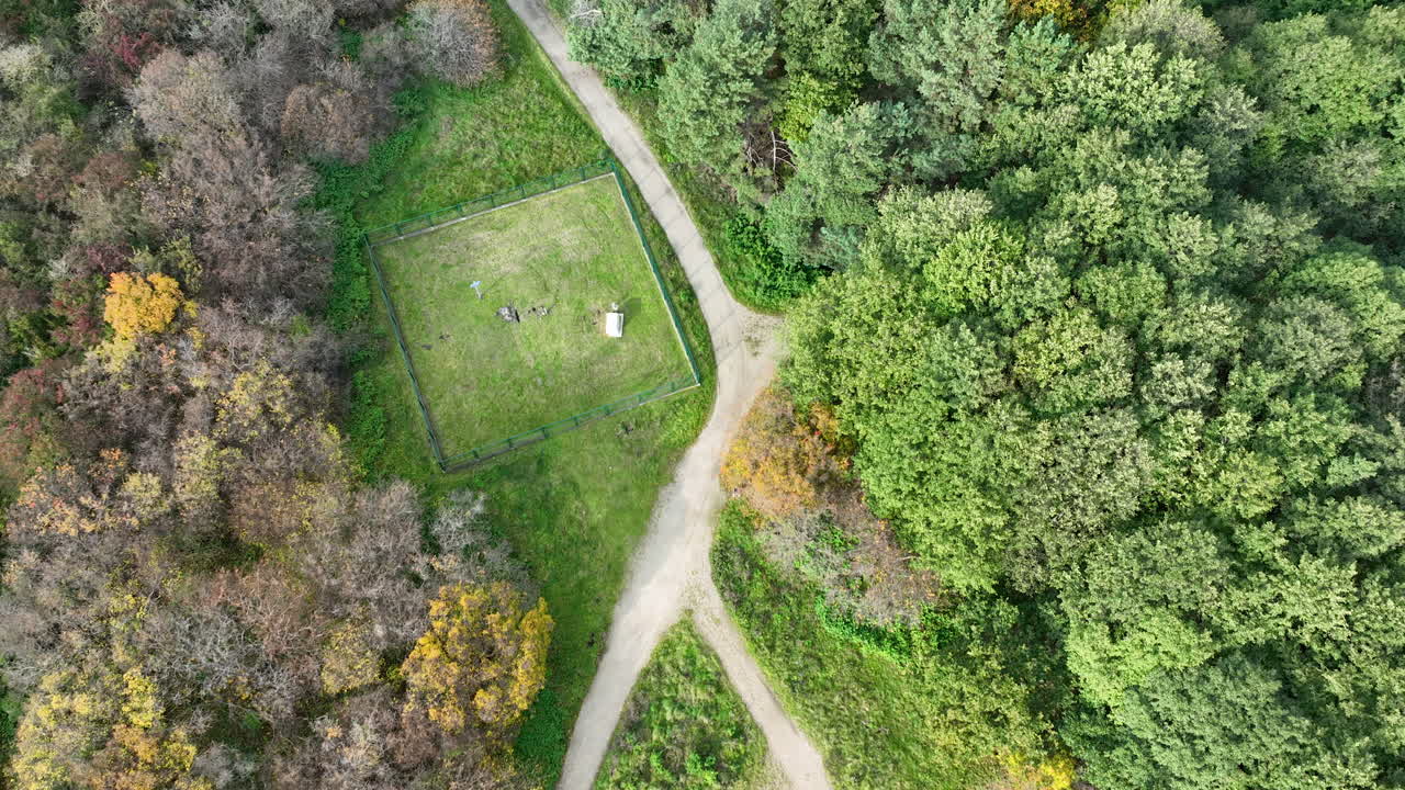 Top-Down Drone View of Forest Clearing and Pathways in Gdańsk