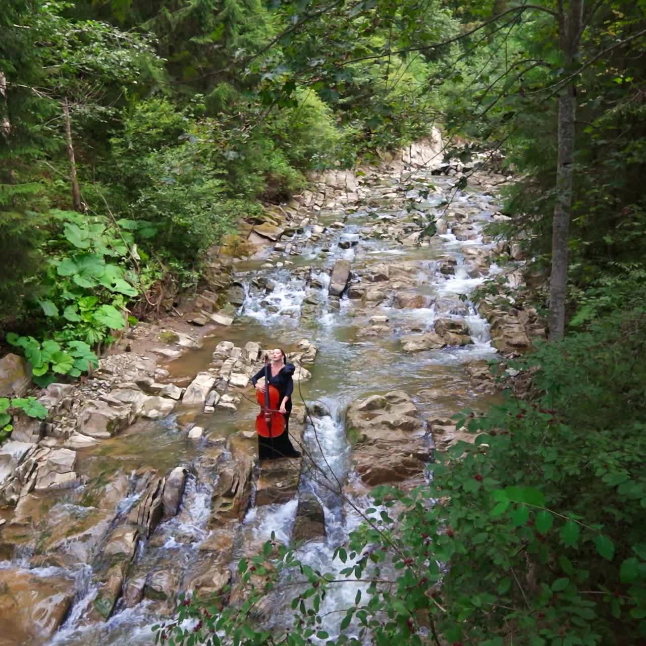 Woman plays cello among beautiful nature. Attractive female cellist playing the musical instrument inside the mountain river in the forest. View from above.