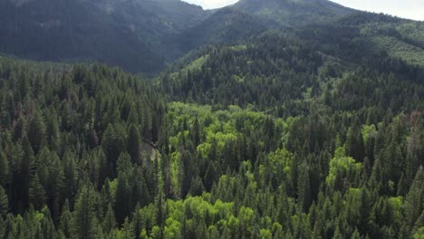 Scenic-outdoors-in-summer-at-American-Fork-Canyon,-Utah,-USA