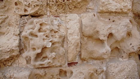antiguo muro de piedra del edificio restante en la ciudad de salamis, chipre