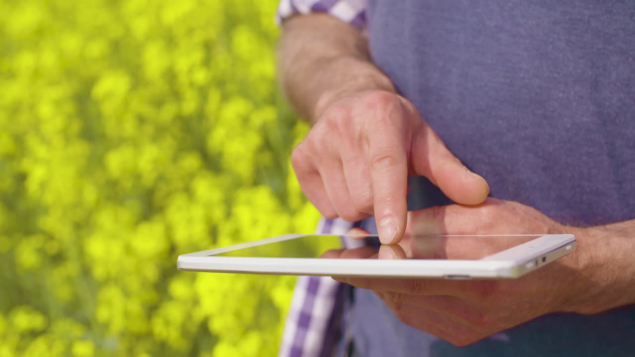 Contadino che usa un tablet digitale in un campo di colza giallo