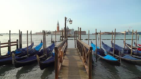 covered floating gondolas in venice early in the morning in the harbor