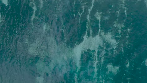 Top-Down-Slow-Motion-Drone-View-of-crystal-clear-water-over-shallow-coral-reef-in-Uluwatu-Bali-Indonesia