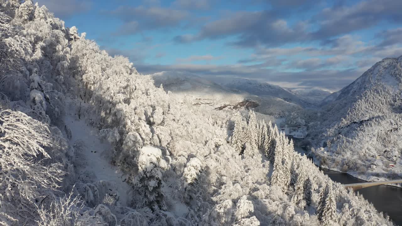 눈 덮인 숲, 눈 덮인 산 풍경 배경에 가까운 공중 촬영