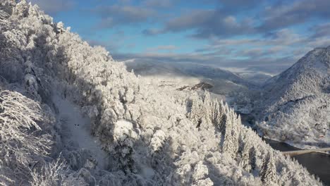 Toma-Aérea-Cerca-Del-Bosque-Cubierto-De-Nieve,-Fondo-De-Paisaje-De-Montañas-Nevadas