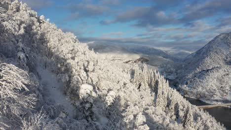 aerial shot close to snow covered forest, snowy mountains landscape background
