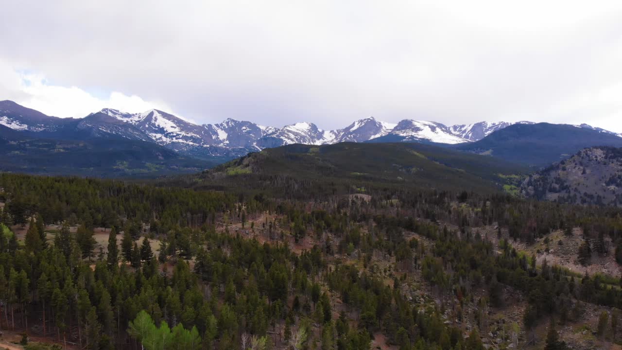 toma aérea ascendente sobre el bosque en las montañas de colorado con el monte elbert en el horizonte