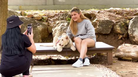 woman interacts with lion cub at zoo