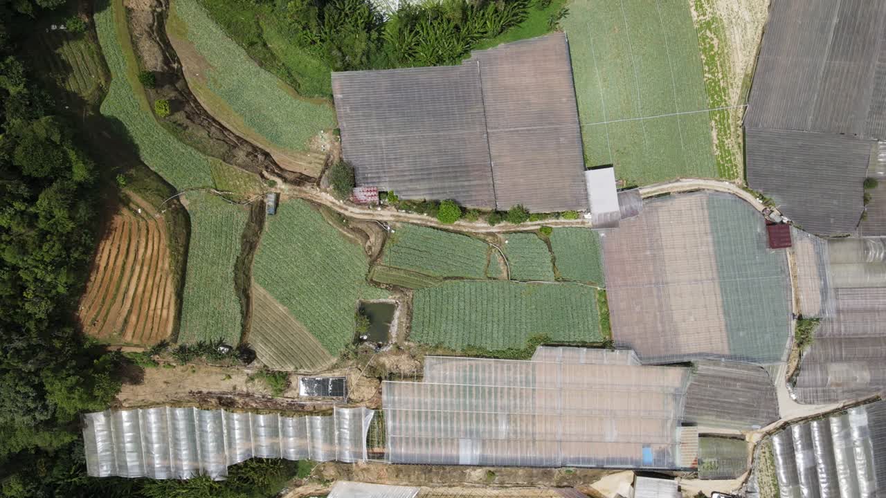 말레이시아의 카메론 하이랜드 지역 내의 브린창 지역의 일반 풍경