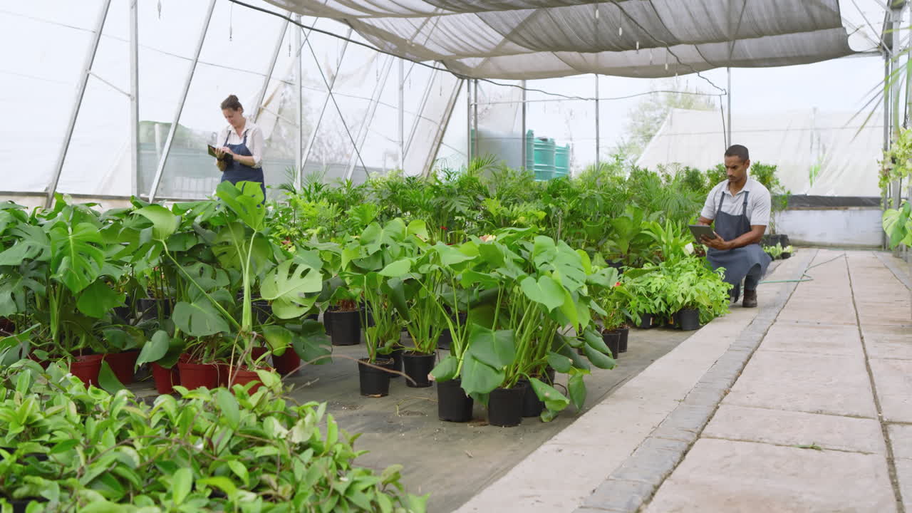 Diverse workers tending to plants in greenhouse, checking growth and taking notes