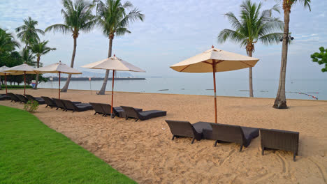 empty-beach-chair-with-palm-tree-on-beach-with-sea-background