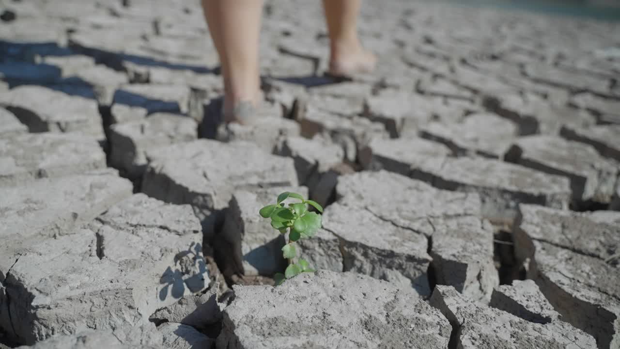 los pies descalzos caminan lentamente por un suelo seco y agrietado con una pequeña planta verde que crece contra todo pronóstico.