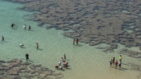 tourists in the water of hanauma bay, hawaii kai neighborhood of east honolulu