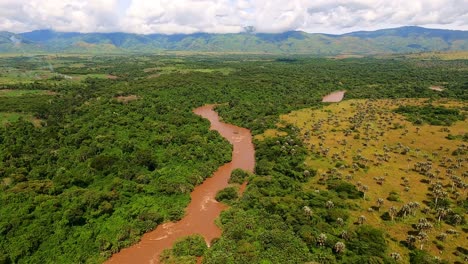 aerial side birds eye view of amazon forest and mountains in background