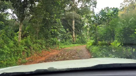 pov view from inside a car driving slowly on a poor road through the forest at ilha do principe,sao tome,africa