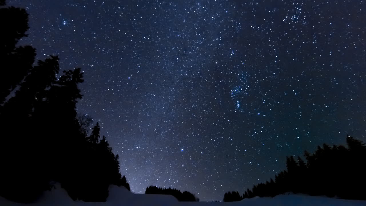 전경에 나무가 있는 아름다운 천체 사진 은하수 시간 경과