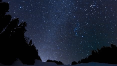 hermoso timelapse de la vía láctea de astrofotografía con árboles en primer plano