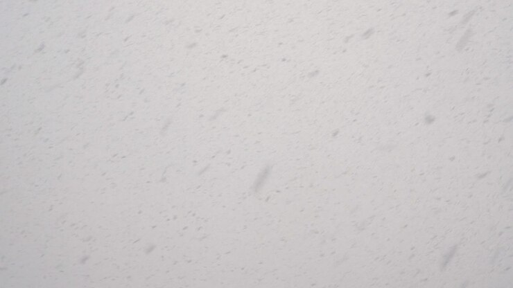 Falling Snow: Winter Wonderland Background