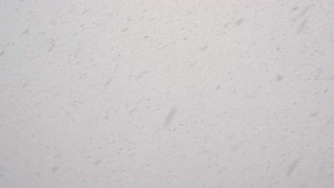 la nieve cayendo: el fondo del país de las maravillas de invierno