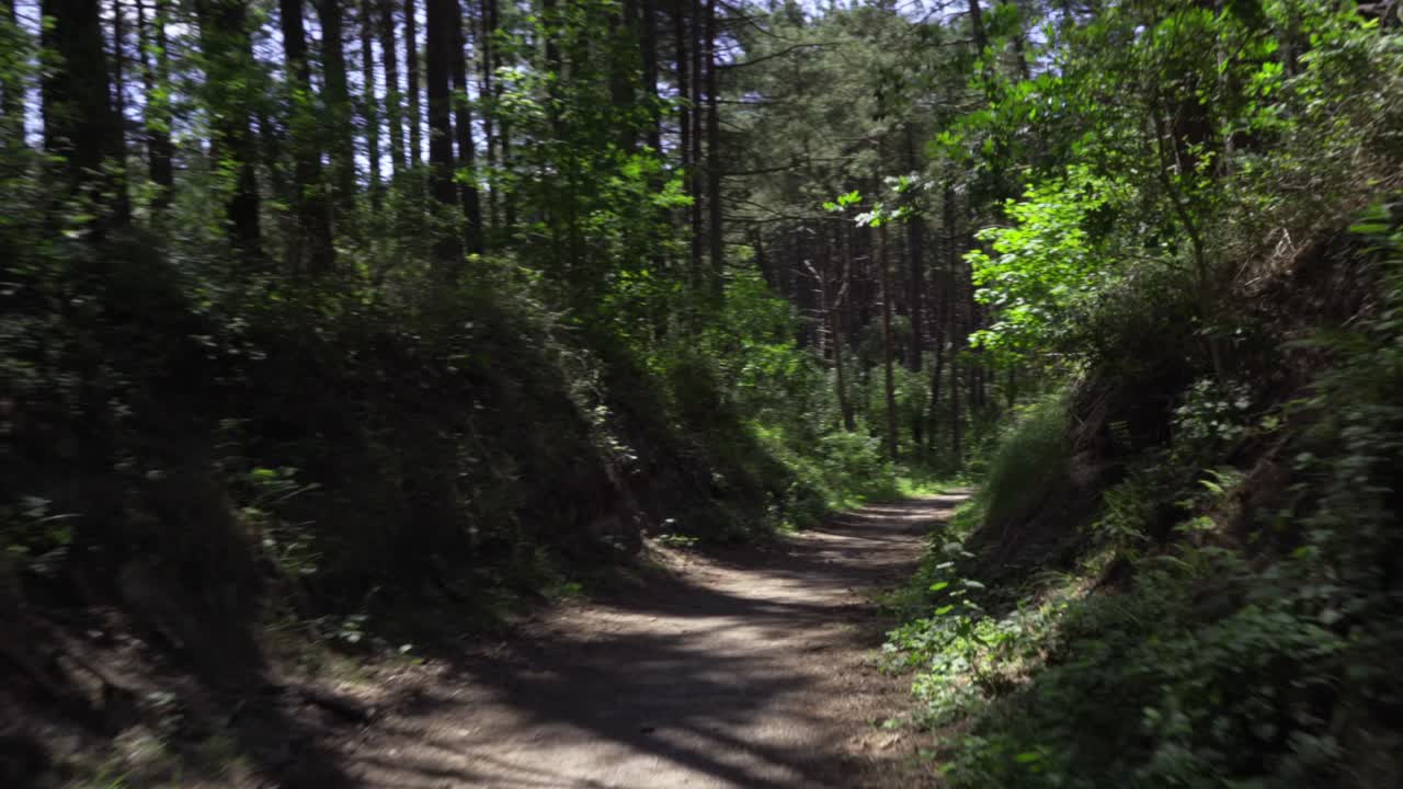 Wide dolly shot moving though a hollow road in a forest, following a bend in the road to the right.