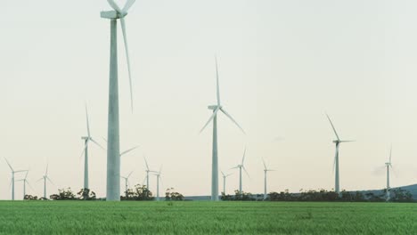 Gesamtansicht-Von-Windkraftanlagen-In-Ländlicher-Landschaft-Mit-Wolkenlosem-Himmel