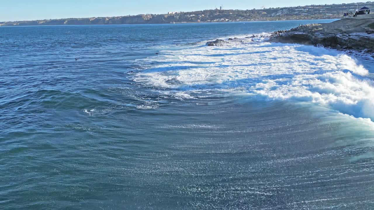 toma de drones que muestra el horizonte de la hermosa ola rompiendo mientras los leones marinos juegan y surfean mientras los pelícanos vuelan durante la marea real en la jolla, california