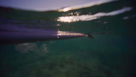 view from below ocean surface alongside longboard surfer girl paddling in water