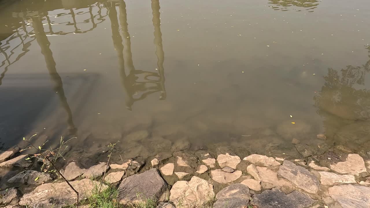 움직이는 물체에 의해 방해된 평온한 물 표면