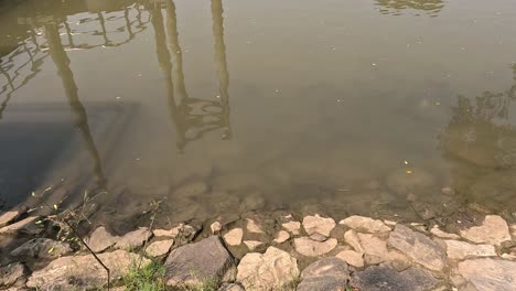 calm water surface disturbed by moving object