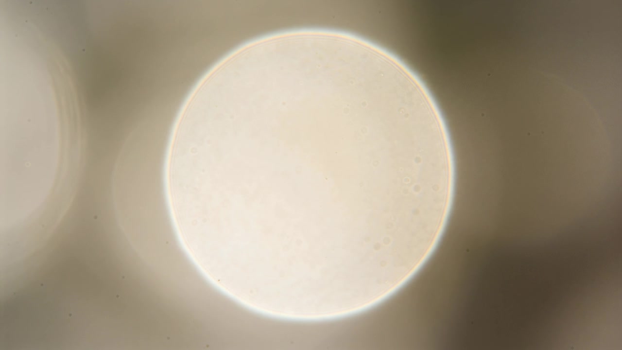 Recording camera capturing large bokeh disc centered in dim room, left-edge blur, dust specks