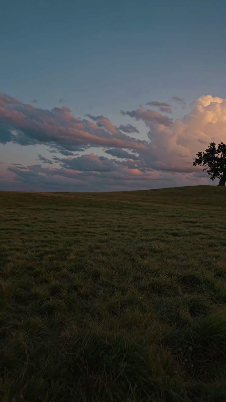 Wide-angle video capturing a serene landscape at sunset, with a lone tree on the horizon