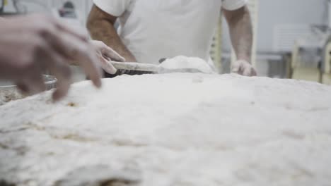 close up shot of a dough with plenty of flour which is evenly distributed with a brush by a baker in the background a baker with a spice shovel