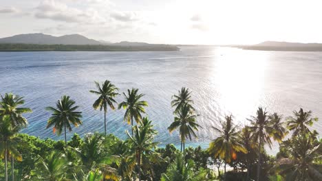 lush palm trees stretch along the coastline of caxisigan island in balabac, palawan, philippines, with calm blue waters glistening under the bright sunlight and distant mountains on the horizon