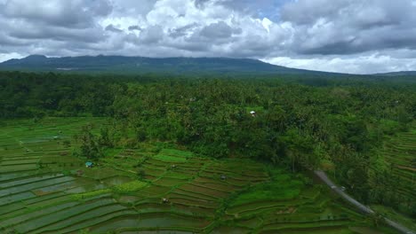 Looking-over-lush-jungle-towards-Bali-Active-volcano-Mt-Agung-shrouded-in-cloud