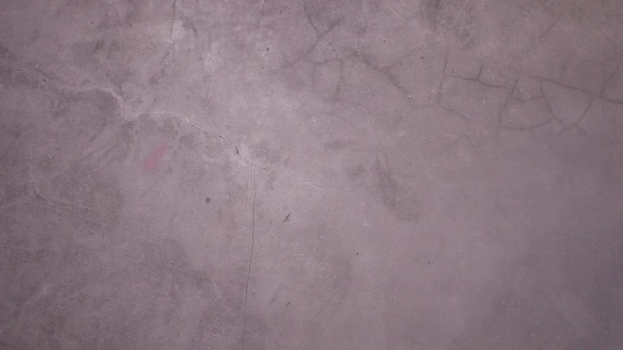 los pinceles de maquillaje aparecen desde el kit de maquilaje y el resto de los productos de maquillajes aparecen en el tema oscuro.