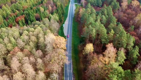 Toma-Aérea-De-Automóviles-De-Pasajeros-Que-Viajan-Por-Carretera-En-Un-Colorido-Bosque-De-Otoño