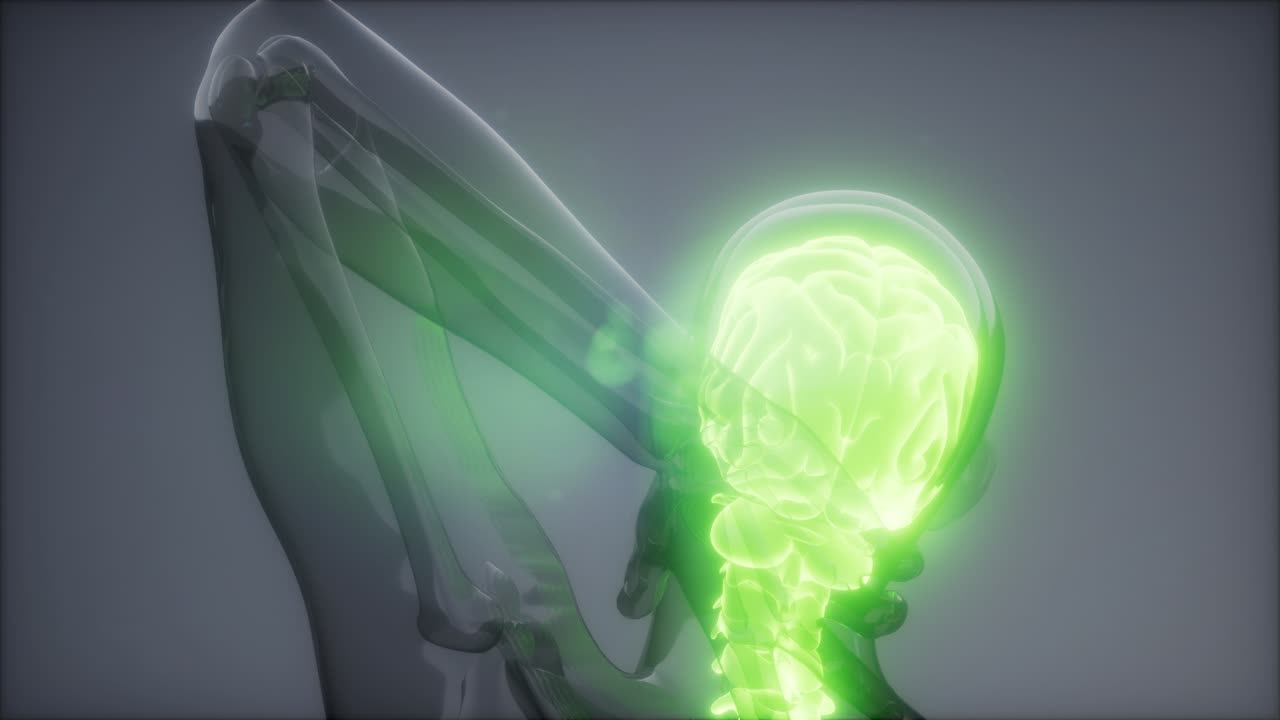 боль в спине