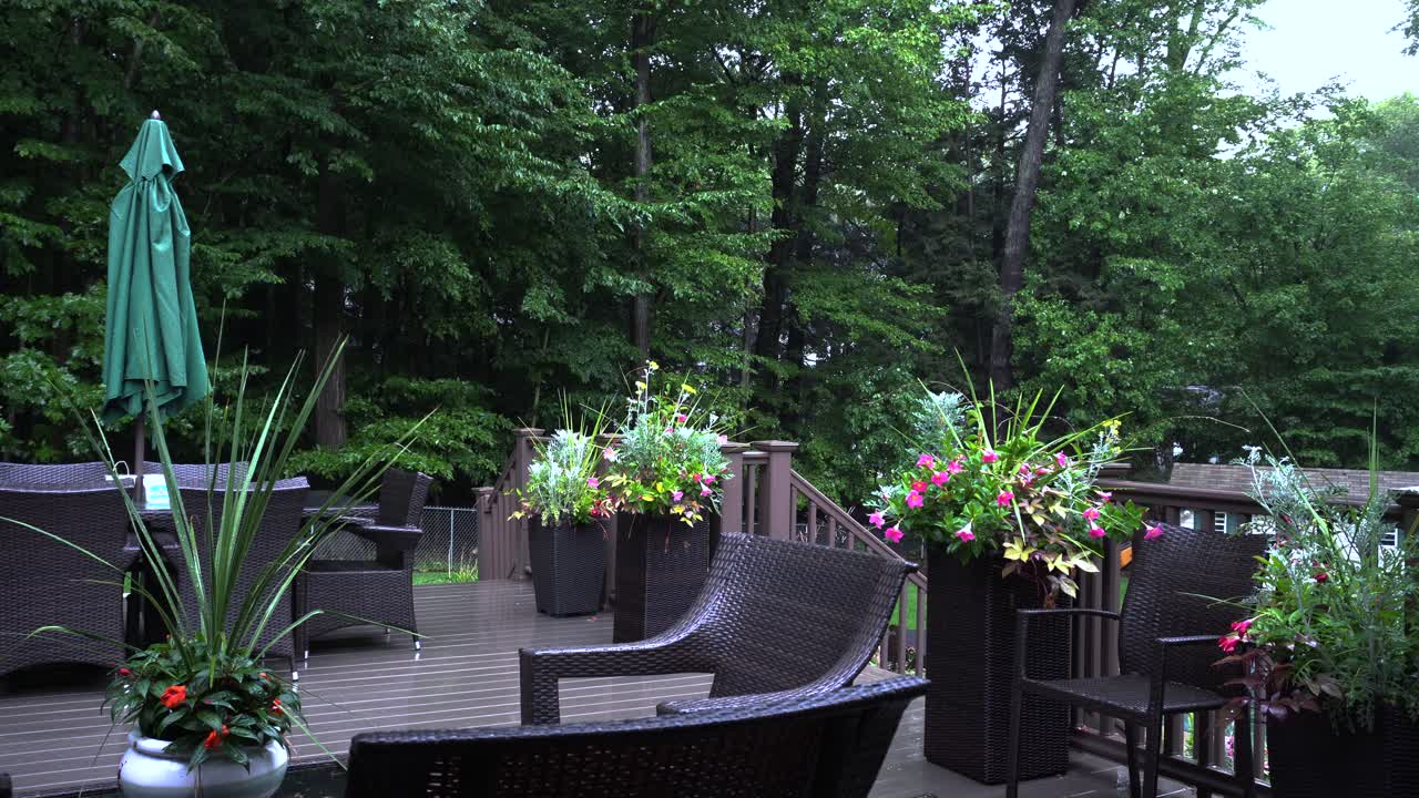 폭풍 후 삼림 현관, 가벼운 비