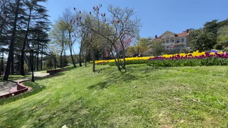 el festival de los tulipanes de estambul.