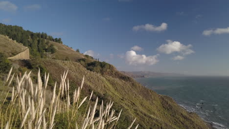 Drone-skimming-the-top-of-pampas-grass-on-Pacific-Coast-Highway-in-California-to-reveal-ocean-hills-and-cliffs-in-the-background