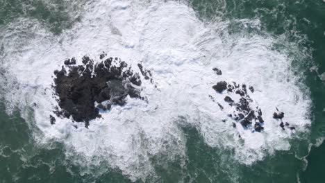 static overhead drone shot of big ocean waves crashing on coral rock - top down view