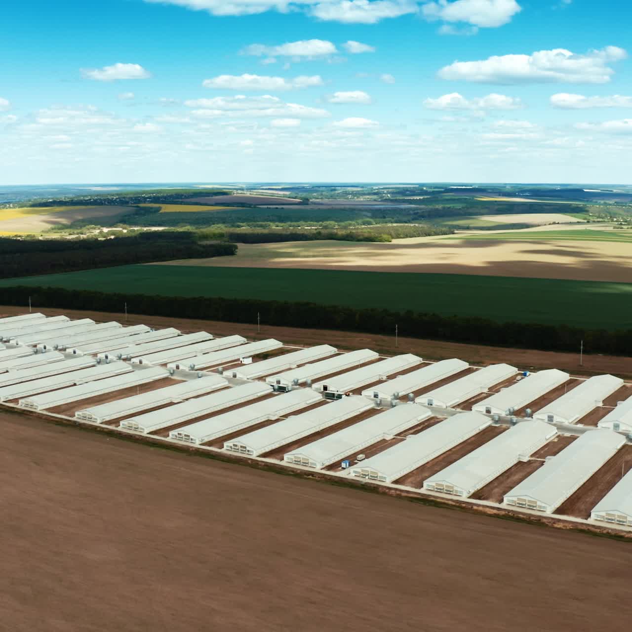 Aerial shot of chicken farms