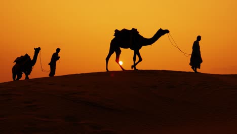 cameleers, camel drivers at sunset. thar desert on sunset jaisalmer, rajasthan, india.